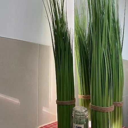 Haus Ossenkopp Apartment Dummer
